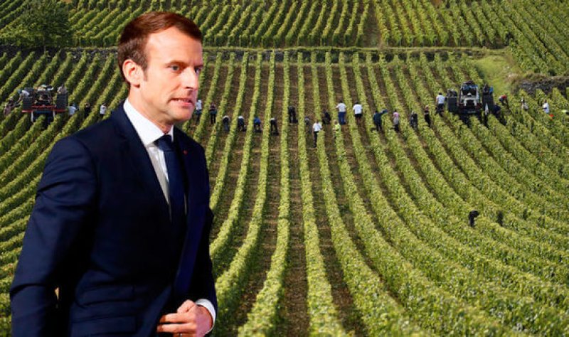 Emmanuel Macron agricultural policy french farmers agricultural fair eu brexit