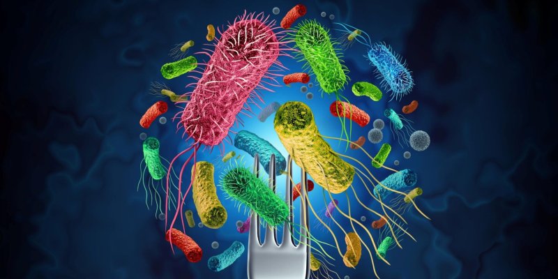 Foodborne Pathogens.jpg