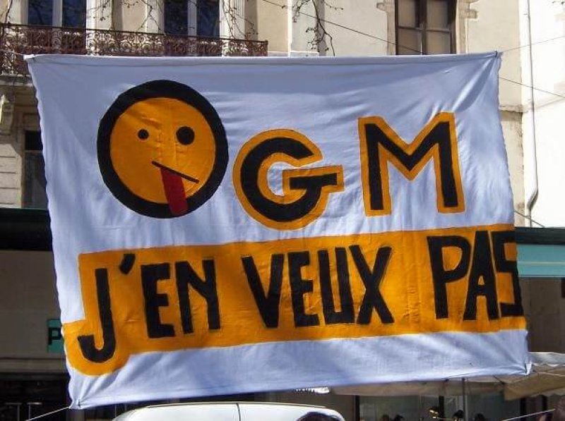 France bans gmos