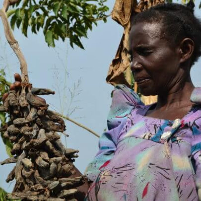 Frances Nanziri Ugandas Food Evolution Farmer x