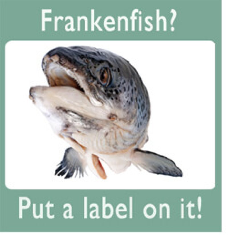 Frankenfish LabelIt green padding x