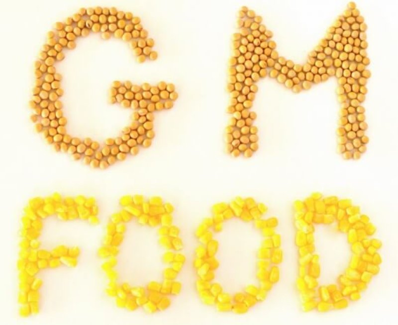 GM Food words