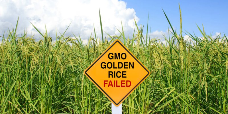 GMO Golden Rice Failed sign x