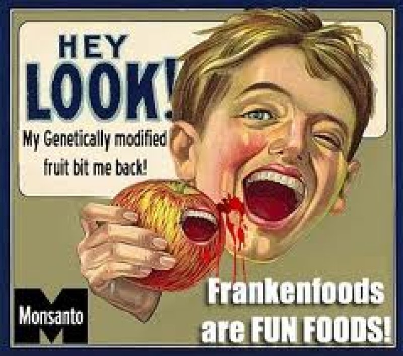 GMO Monsanto FrankenFood