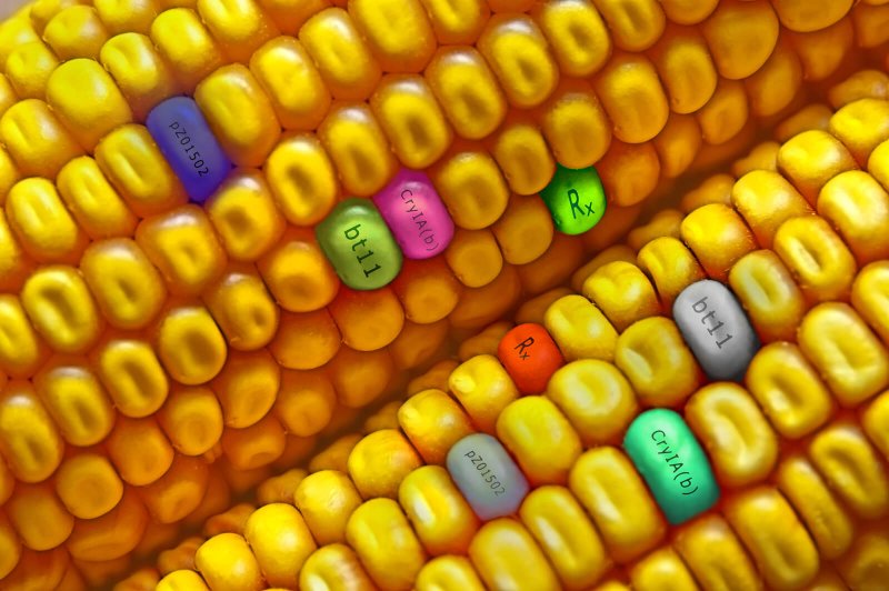 GMO Vs Gene Editing