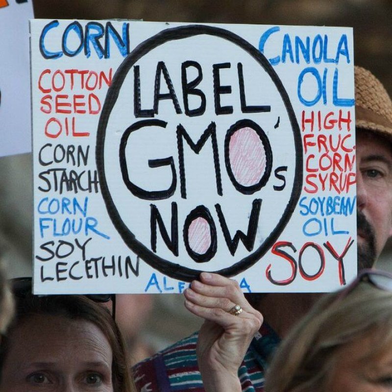 GMO label e