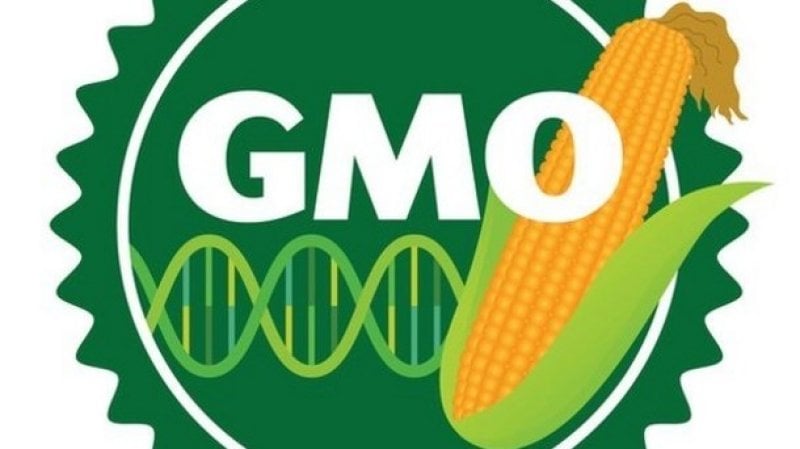 GMO labeling bill defeated in Canadian parliament wrbm large