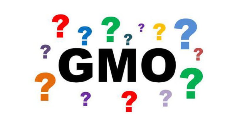 GMO question marks e