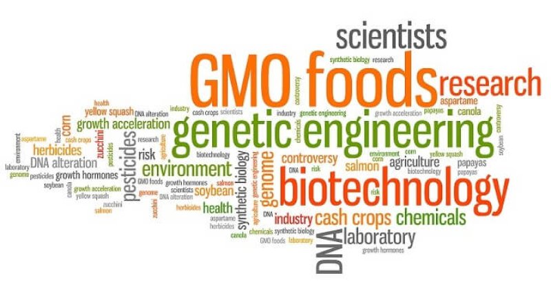 GMO questions e