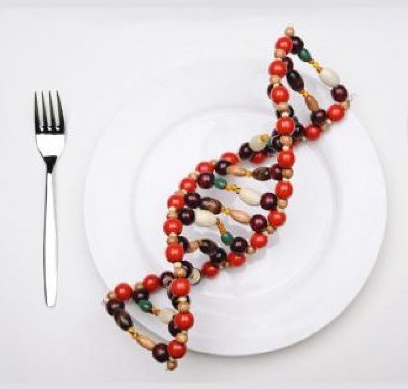 Gene Testing Can Tell What Food You Really Need x e