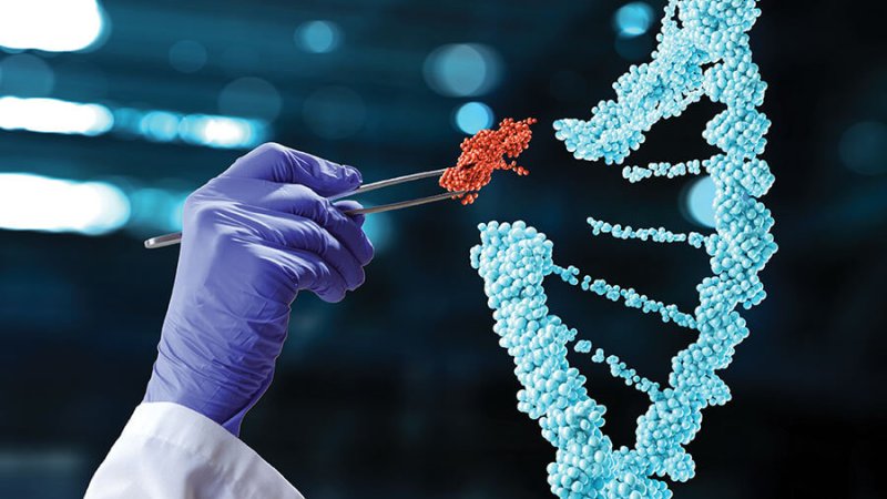 How Crispr Gene Editing Will Revolutionize Medicine Genetic Literacy