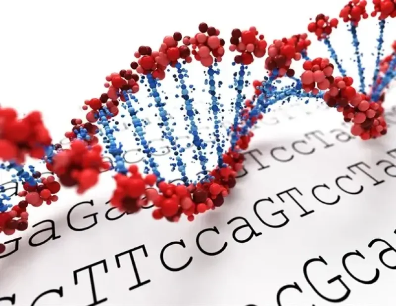 Genetics-620x480.jpg