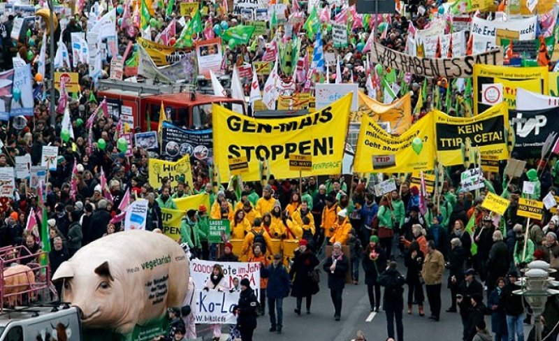 German GMO Protest