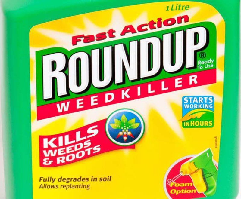Glyphosate Probably Carcinogenic to Humans
