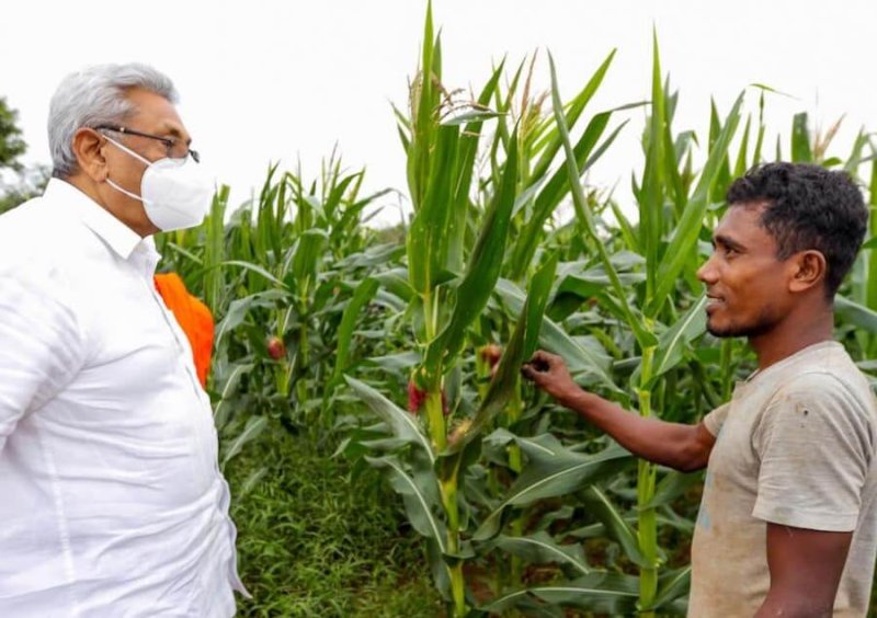 Sri Lankan President Gotabaya Rajapaksa speaks with a farmer. Credit: Colombo Telegraph