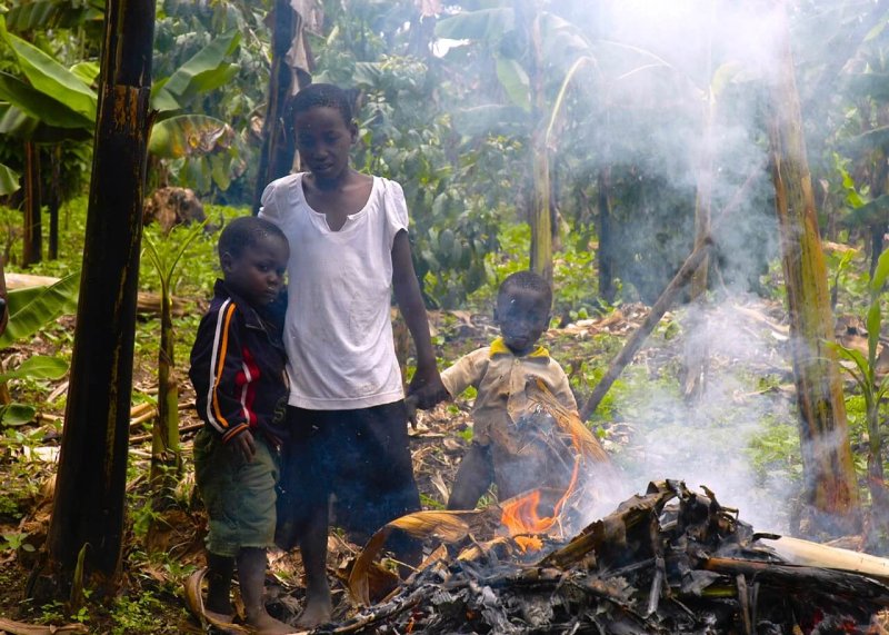 Grandchildren involved in burning the infected plants