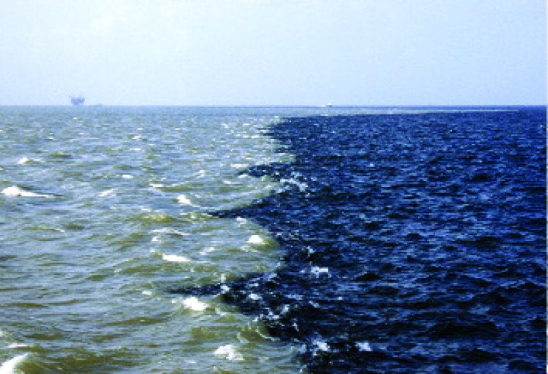 An anoxic dead zone near the Gulf of Mexico. Credit: Louisiana Universities Marine Consortium