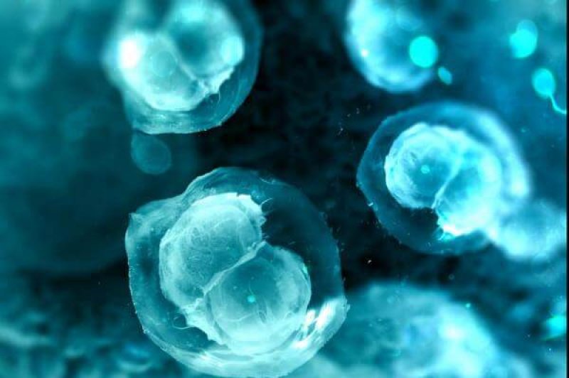 Hydrogels preserve pluripotent ability of stem cells