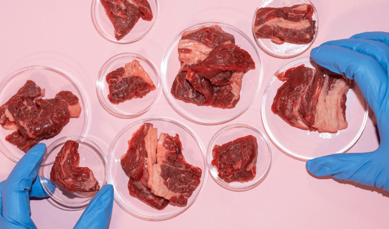 lab grown meat research kelly schultz lehighuniversity main