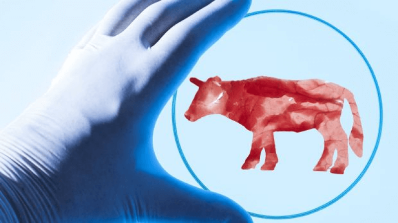 Laborfleisch-Symbolbild-42649-detailp