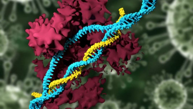 MIT tech non viral CRISPR nonviral genetics x