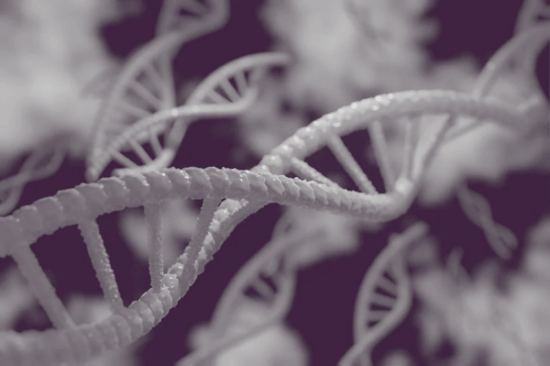 2 billion people have impaired vision. Here’s CRISPR might lead to a cure