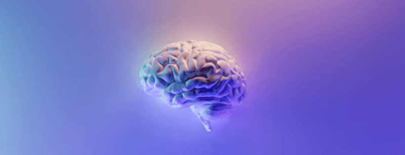 Viewpoint: Would super-intelligent AI find humans boring?