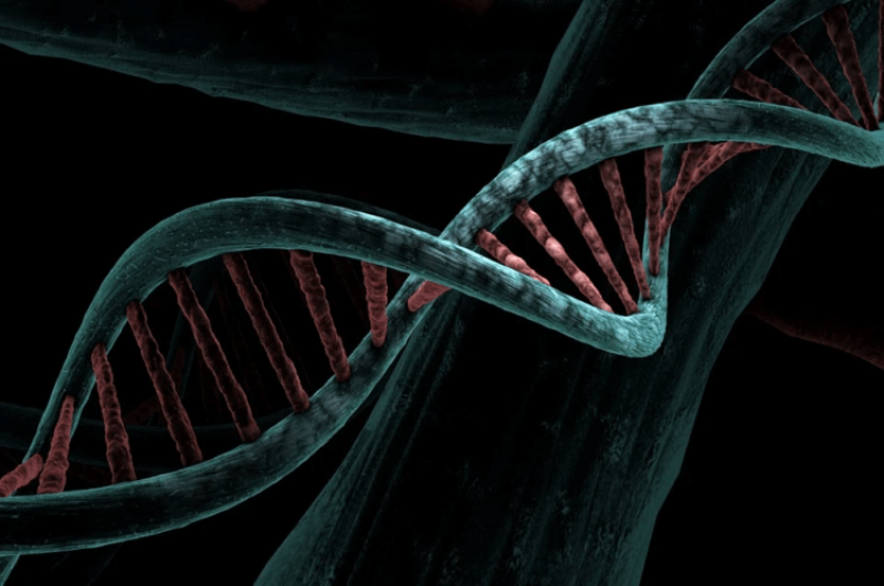 Epigenetics: How the environment impacts the health of you and your child — and possibly their children as well