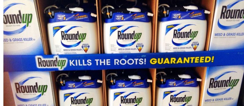 NF July Is Monsantos Roundup Pesticide Glyphosate Safe