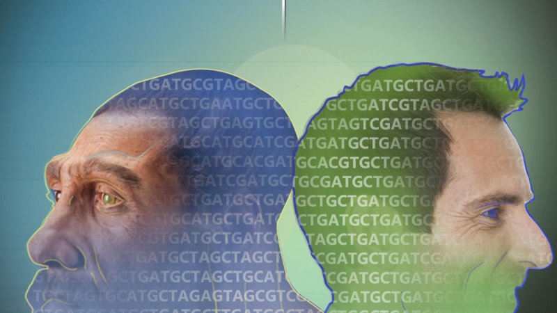 Credit: National Human Genome Research Institute