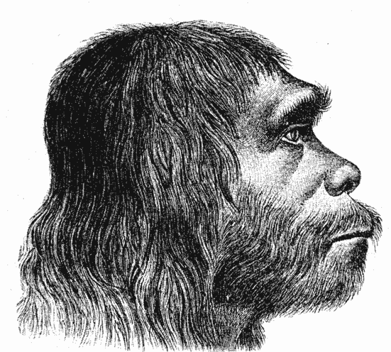 Neanderthaler Fund