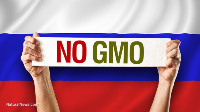 No GMO Flag Russia