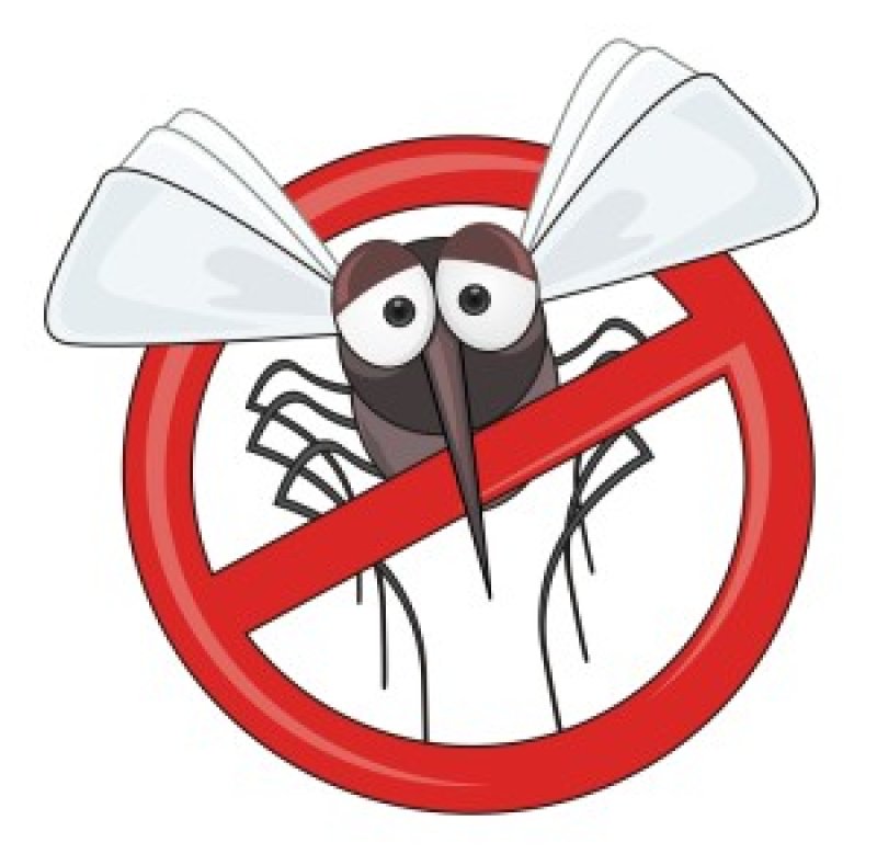 No Mosquito shutterstock x
