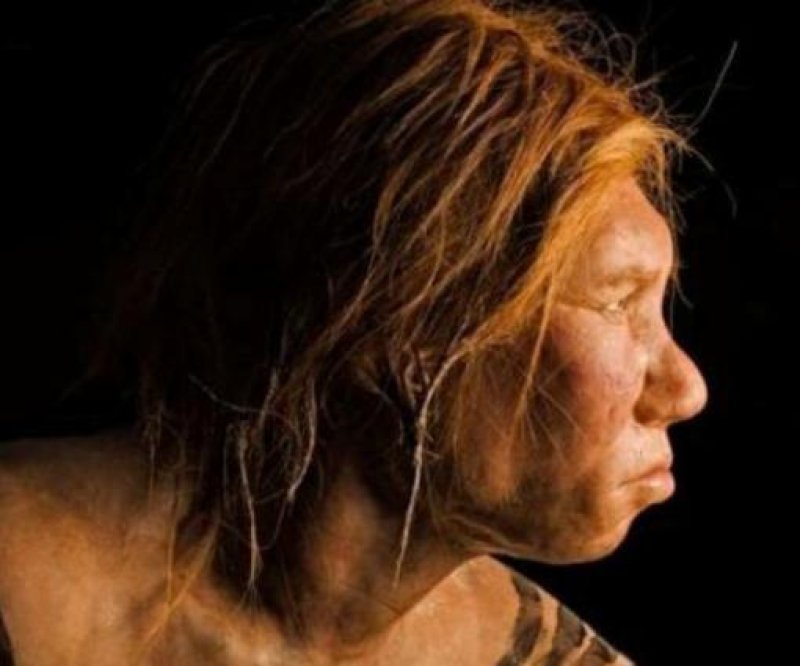 Non Africans lower fitness courtesy Neanderthal heritage