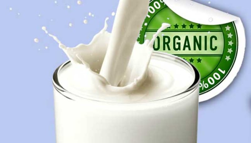 Organic Cow Milk Gurgaon