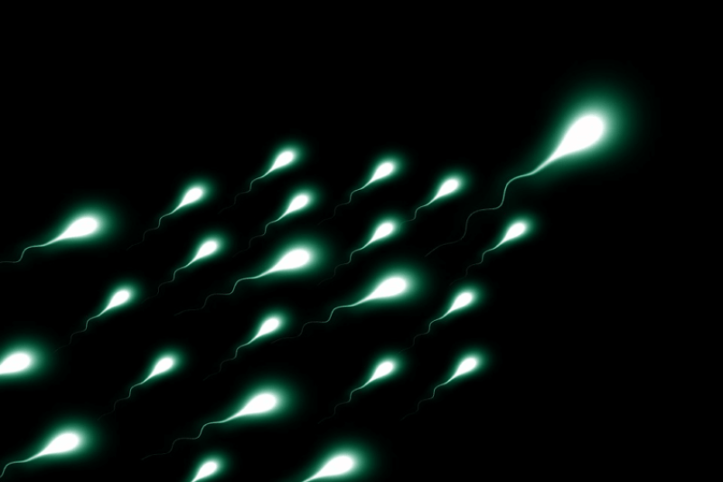 Free sperm freezing: Russia’s offer to soldiers with a good chance of dying in the Ukraine