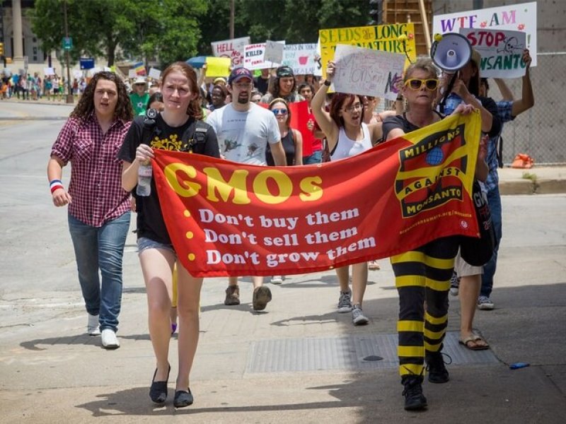 Photo of marchers protesting GMOs