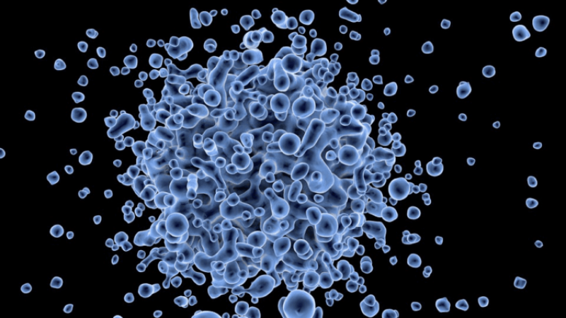10% of the human genome is made up of viruses. Here's how they helped shape our evolution