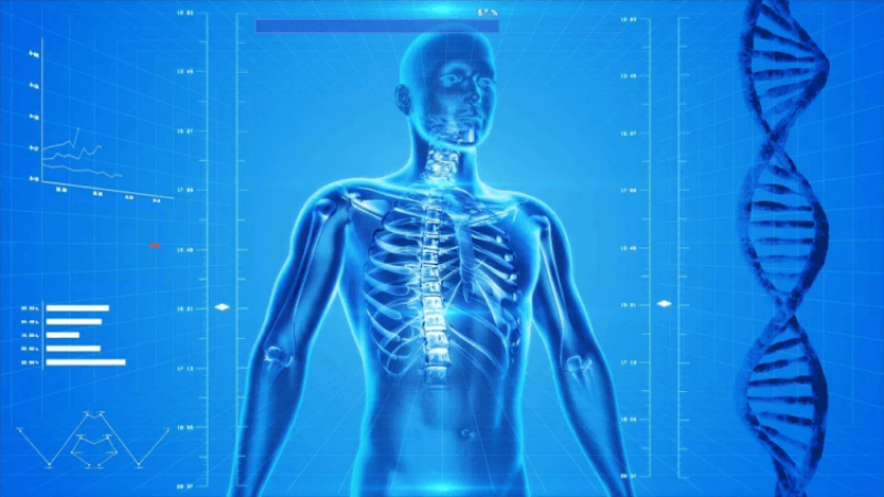 2% of the human genome: We are finally coming to understand the mystery of ‘dark matter’ junk DA