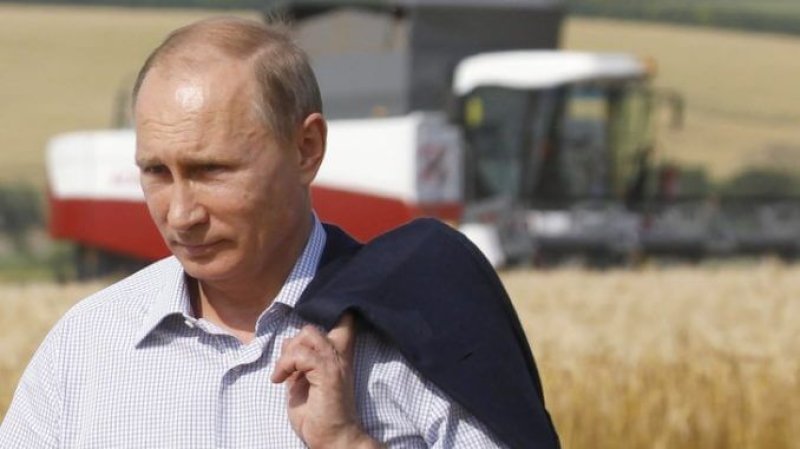 Putin bans GMO foods Russia Illegal x