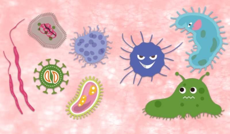 (Conversation) Superbugs: Climate change is spurring a dangerous rise in antibiotic resistant in humans and animals