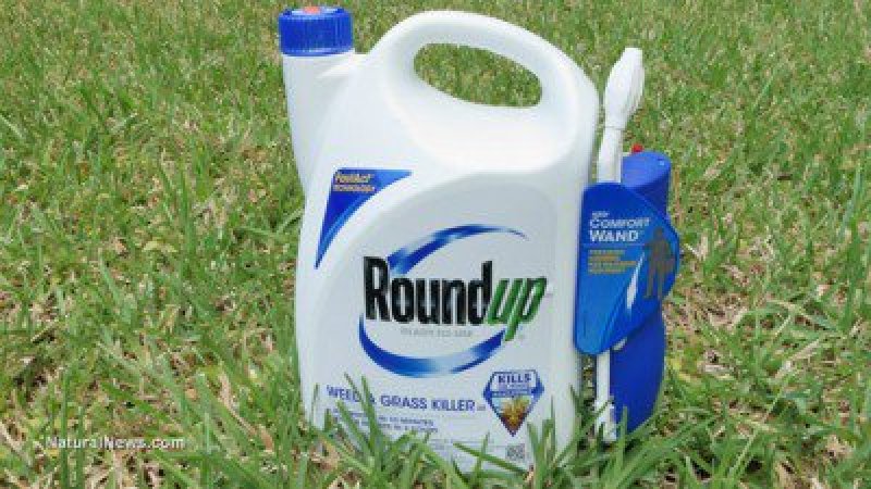 RoundUp Herbicide x