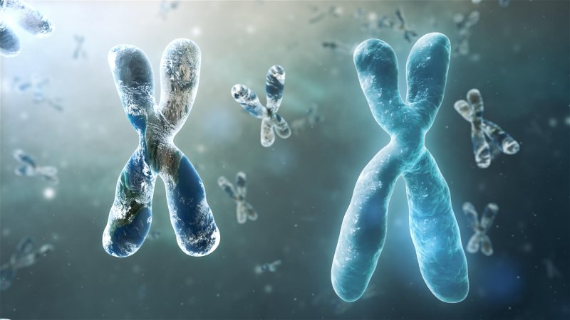 Credit: Scientifc Animations