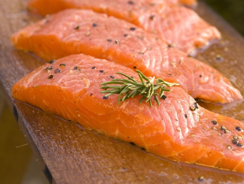 Salmon Fillets CREDIT AquaBounty e