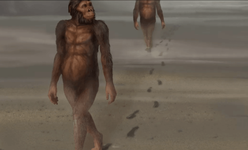 Credit: Smithsonian National Museum of Natural History