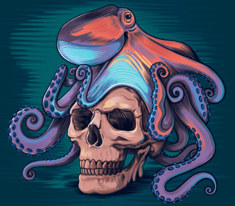 brain similarities between an octopus and a human