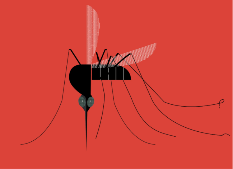 mosquito attracted to carbon dioxide