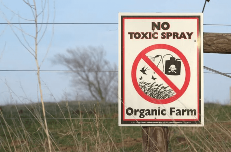 Credit: Anthropocene