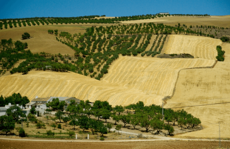 Spanish agriculture may be particularly vulnerable to climate change. Credit: PxHere via CC0-1.0
