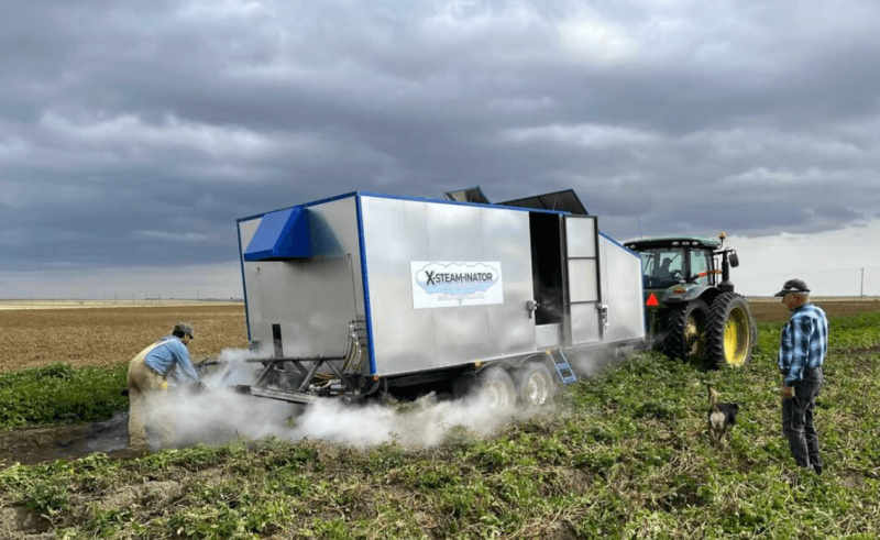 Credit: Xsteaminator.ca